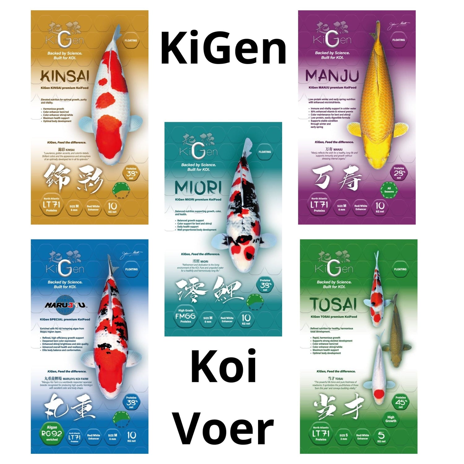 KiGen Koivoer