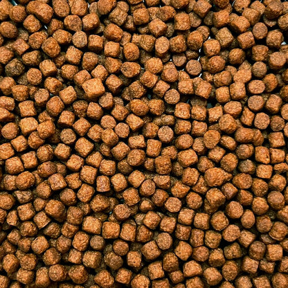 Marks Koivoer Champions Edition Multi Season 6 mm Drijvend - Premium Koi Voer voor Gezonde en Kleurrijke Koi